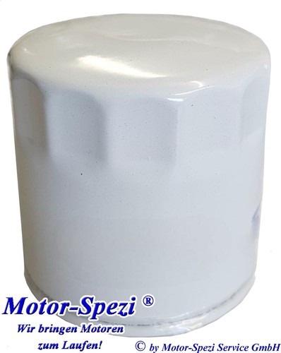 Filtro olio per motori
