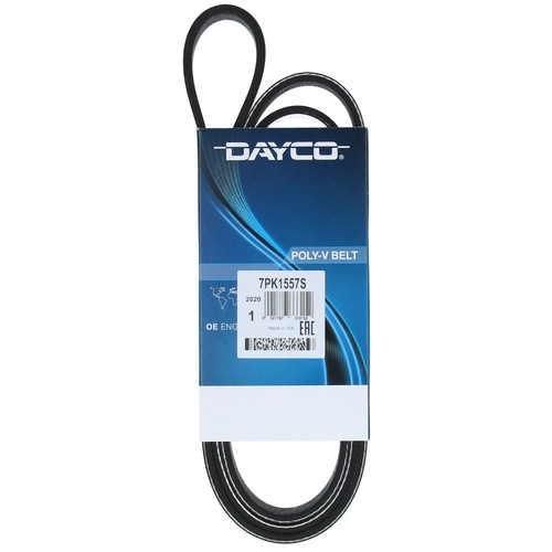 Cinghia poly dayco per - per, auto