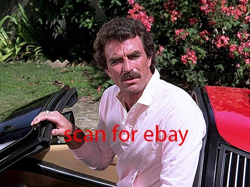 Magnum tom selleck foto - pi,