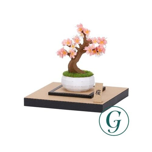Bonsai kawada paper - bonsai, nano