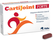 Fidia Farmaceutici Cartijoint