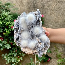 Cristallo di quarzo zeolite