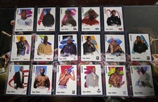 2pac 20 Card Set Panini Upper