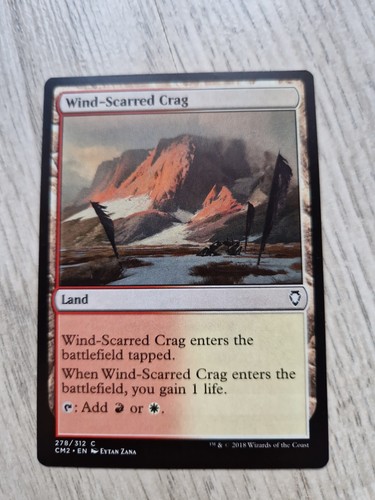 Carte magic the gathering - carte,