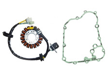 STATORE 18 POLI BERGAMASCHI