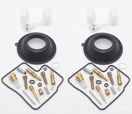 Kit revisione carburatore
