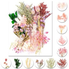 iDattel Fiori secchi