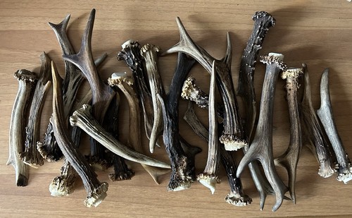 Masticativo per cani naturale - per,