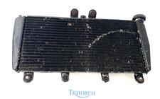 TRIUMPH DAYTONA 955i SS GRUPPO