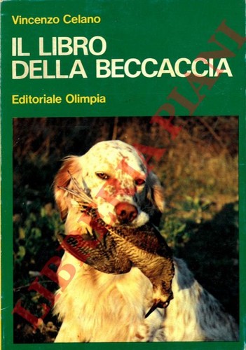 Celano vincenzo il - celano, libro