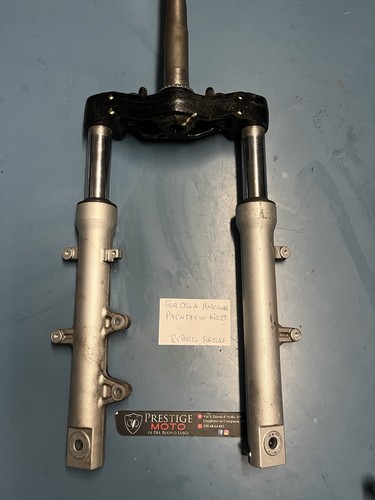 Forcella anteriore honda - forcella,
