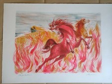 Litografia colori aligi - a,