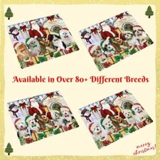 Calamita Natale Babbo Natale