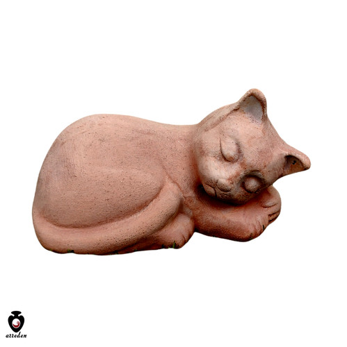 Gattino gatto addormentato - , in