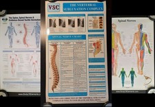 3 Vertebral Subluxation