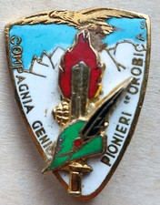 COMPANY BADGE GENIUS PIONEERS
