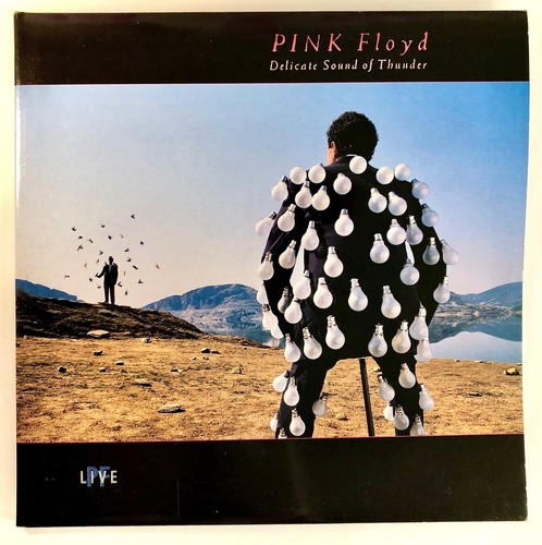 Pink floyd delicate sound of - floyd,