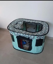 cuccia per cani interno