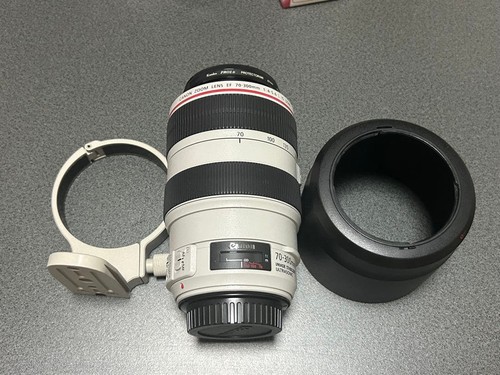 Canon 300 4 5 6 - 70,