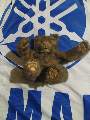 Orso giocattolo furreal - giocattolo,