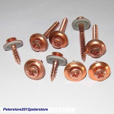 100 viti per lattoniere A9067