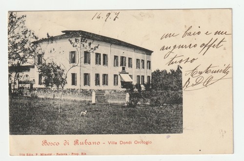 Bosco rubano padova - bosco,