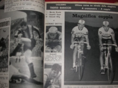 Intrepido trofeo - intrepido,