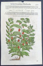 Stampa antica 1565 pietro