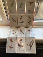 92 Cards Bird Postcard