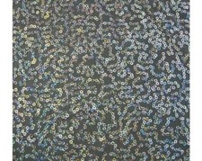 Lusso Paillettes Abbigliamento