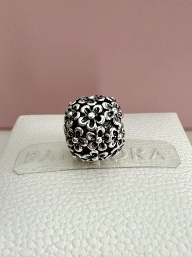Charm pandora argento - pandora, sterling