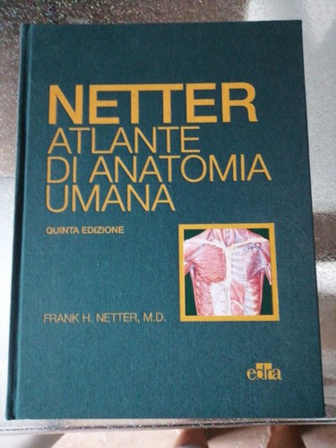 Netter atlante anatomia - atlante, di