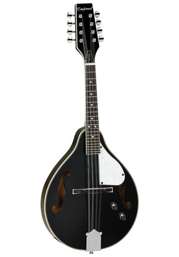 Mandolino elettroacustico - , a