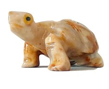 Minerali animali tartaruga