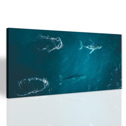 Balena nel mare paesaggio
