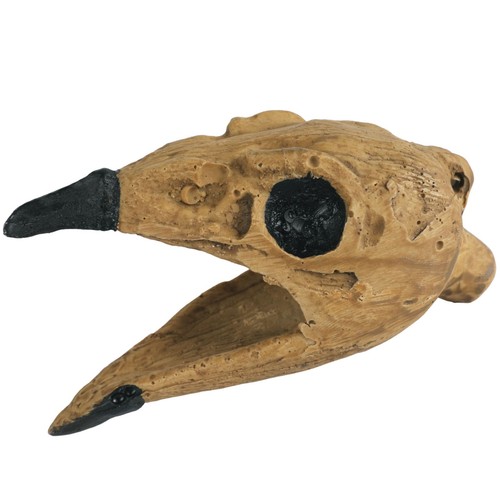 Jafermox aztec crow death - aztec,