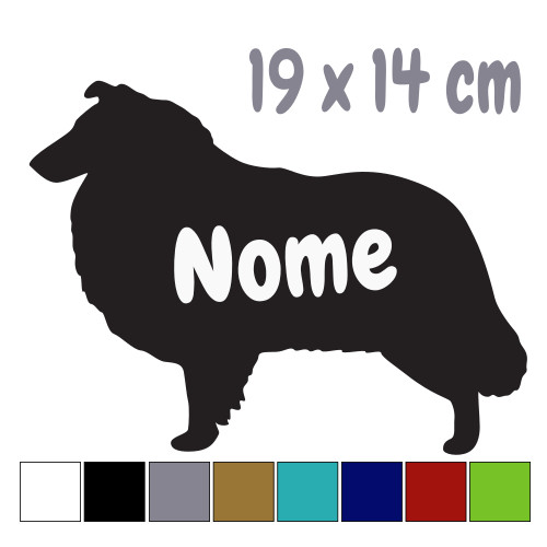 Pastore scozzese collie - scozzese,