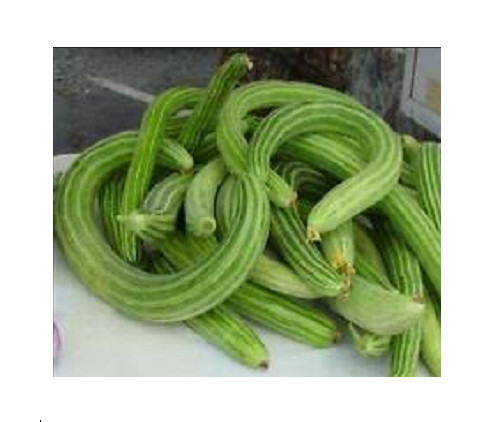 Semi cetriolo serpente - cetriolo,