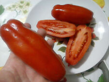 Pomodoro San Marzano scatolone da passata, insalata, 80 seeds italian tomato