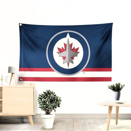 Bandiera banner winnipeg - banner, jets