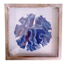 Quadro Stampa Corallo Di Mare