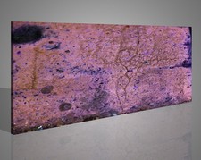 Composizione su tela astratta