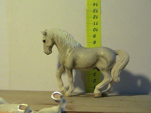 Cavallo collezione o - ,