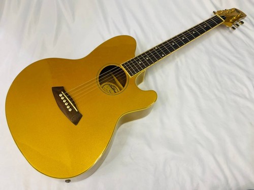 Chitarra elettrica acustica - chitarra, elettrica-acustica
