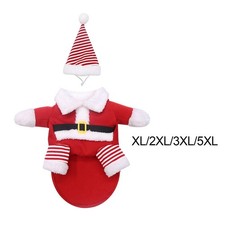 Simpatico vestito da Babbo