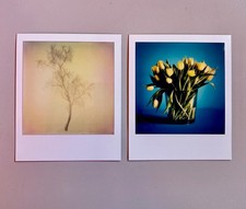 2 x Polaroid, edizione