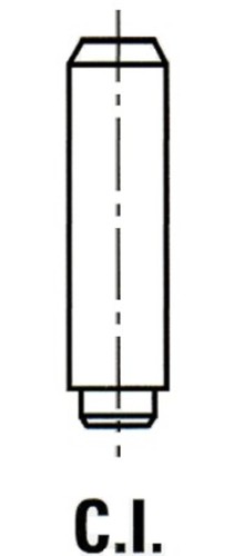 Guida valvole ipsa vg060200 - guida,