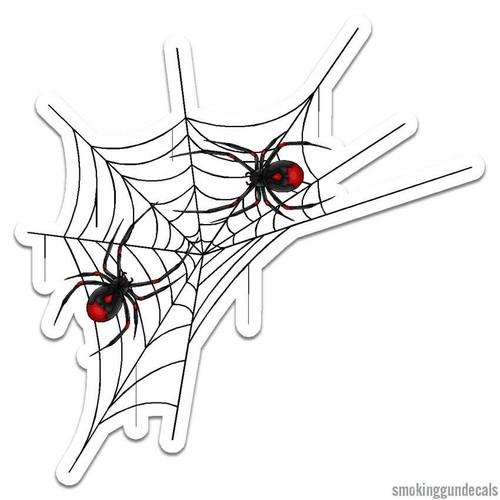 Ragnatela adesivo - ragnatela,,