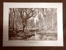 An autumn landscape o Un