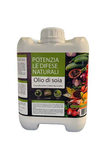 Olio soia tanica da 5 - da,